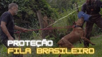 FILA BRASILEIRO – segundo treino de PROTEÇÃO!